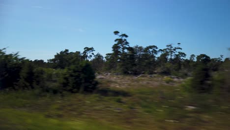 Driving-through-scenic-countryside-of-Gotland,-Sweden,-with-lush-greenery-and-trees