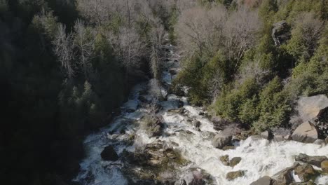 Un-Río-Caudaloso-A-Través-De-Un-Denso-Bosque-En-Owen-Sound,-Canadá,-Vista-Aérea