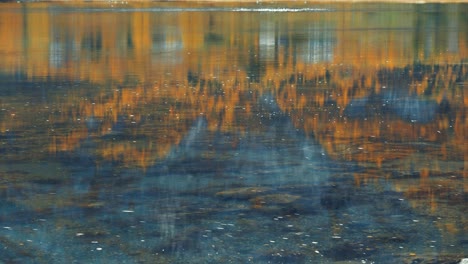 Der-Herbstliche-Wald-Spiegelt-Sich-In-Der-Stillen-Wasseroberfläche