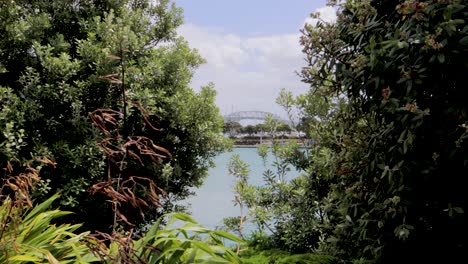 Harbour-Bridge-Von-Auckland-über-Die-Bäume,-Das-Meer,-Westhaven,-Neuseeland-Gesehen