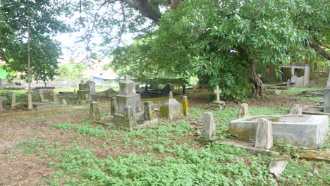 Memorial-location,-vegetation,-gravestones,-woodland-area,-panning-right