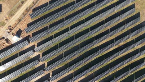 Aerial-footage-of-solar-panels-plant-a-generating-green-electric-energy-on-a-wide-green-field-on-a-sunny-day,-in-Taurage,-Lithuania,-top-down-shot