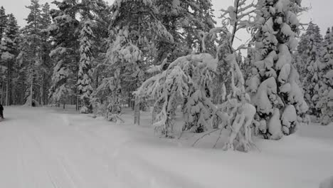 People-riding-snowmobiles-through-a-winter-forest,-between-snow-covered-trees-winter-adventure