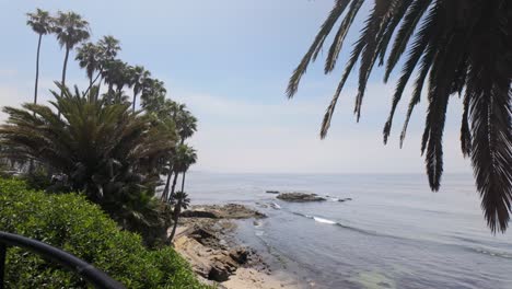 Beautiful-California-Coast-Beach-Park-with-Palm-Trees--4k-Graded