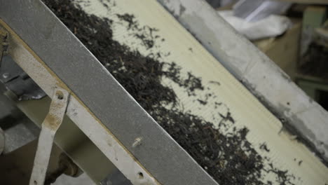 Close-up-view-of-tea-manufacturing-factory-machines-at-work-tea-leaf-sorting-and-crushing