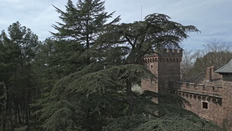 Reveal-shot-of-Perafita-Castle,-from-left-to-right,-surrounded-by-trees,-travelling