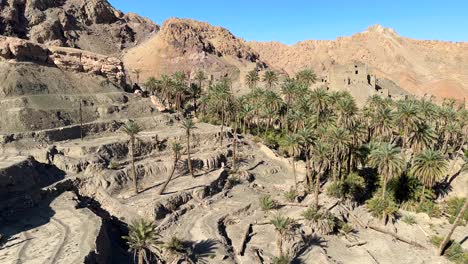 Terrassengarten-In-Der-Wüste,-Palmenhaine-Mit-Dattelpalmen-In-Der-Sommersaison-In-Den-Bergen,-Wunderschöne-Malerische-Landschaft-Im-Nahen-Osten,-Asien,-Afrika,-Ägypten,-Marokko,-Lehmziegel,-Altes-Gebäude,-Historische-Seidenstraße