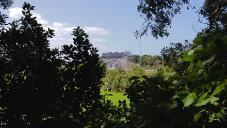 Vista-De-La-Autopista-De-Auckland-Sobre-Los-árboles-Verdes-En-Un-Día-Soleado