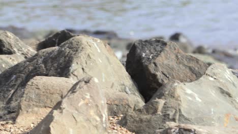 Beach-rock-carter-Road-Bandra