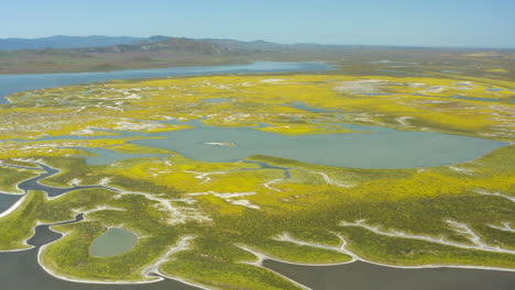 Aerial-view-of-Soda-lake-wildflowers-plains,-Carrizo-Plain-foothills