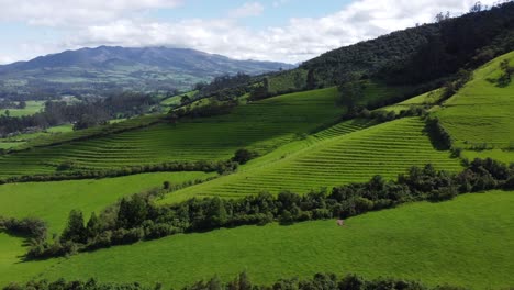 Aerial-Drone-Panning-Over-Lush-Green-Terraced-Farmland-On-Foothills-of-the-Pasochoa-volcano,-Puichig-neighborhood,-showing-the-Machachi-valley,-Cantón-Mejía,-Pichincha-Province,-Ecuador