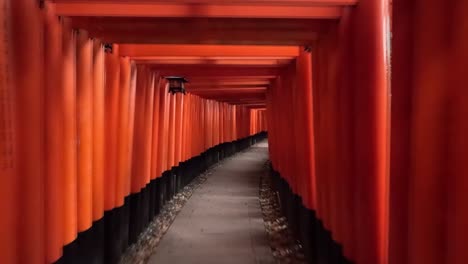 Caminando-Por-El-Sendero-A-Través-De-Las-Puertas-Torii---Senbon-Torii-En-El-Santuario-Fushimi-Inari-taisha-En-Fushimi-ku,-Kyoto,-Japón