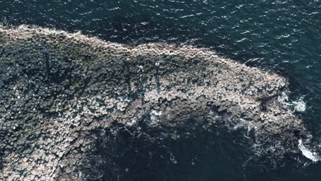 Birdseye-Tracking-Shot-of-People-on-Giant's-Causeway