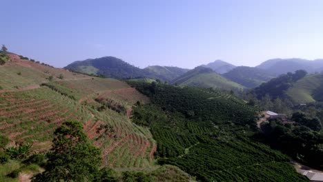 Volando-A-Lo-Largo-De-Terrazas-De-Montaña-Con-Plantaciones-De-Café-En-Brasil,-Aéreo