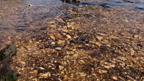 This-is-a-short-video-of-a-small-stream,-flowing-over-pebbles