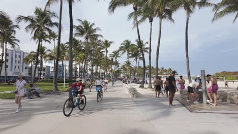 People-enjoying-a-sunny-day-at-Miami-Beach,-palm-trees-lining-the-walkway