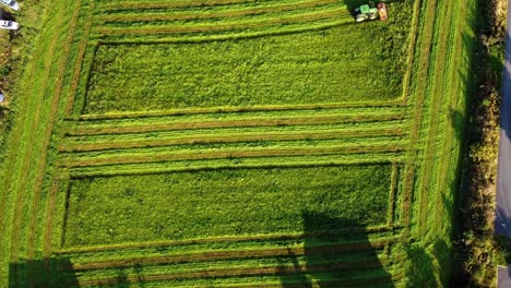 Satisfying-timelapse-of-farmer-working-on-agricultural-field-with-Tractor,-moves-along-vertical-straight-green-line