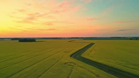 Aerial-view-of-farmland-at-sunset-with-dirt-roads-crisscrossing-the-fields