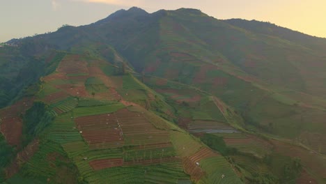 Aerial-view-of-plantation-on-the-Mount-Prau-Wonosobo,-Indonesia