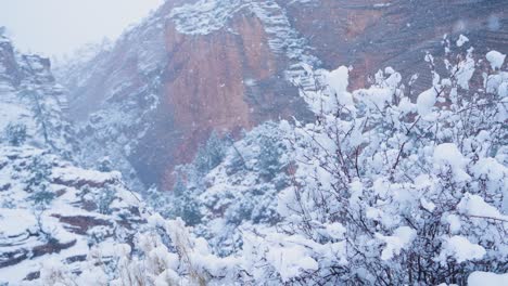 Nahaufnahme-Eines-Intensiven-Schneefalls-In-Den-Bergen-Von-Zion,-Der-Alles-In-Sichtweite-Bedeckt