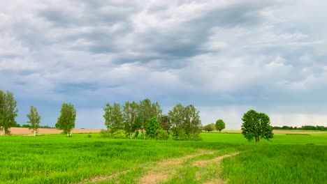 Panoramic-view-of-green-meadow-with-trees-and-dark-storm-clouds-in-sky,-Latvia