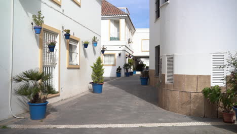 Blue-color-bush-pots-with-white-buildings-around,-dolly-forward-view