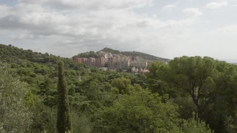 Toma-Aérea-De-Un-Grupo-De-árboles-En-Primer-Plano-Con-El-Horizonte-De-Barcelona-Al-Fondo.