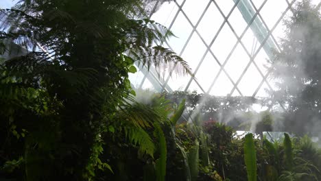 Visitors-wandering-around-in-the-cloud-forest-greenhouse-conservatory,-foggy-and-misty-environment-with-sunlight-shining-across-the-scene,-tilt-up-shot