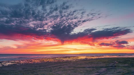 Timelapse-De-Hermosas-Y-Coloridas-Nubes-Durante-La-Puesta-De-Sol-Con-Algas-Verdes-Musgo-Rocas-Orilla-Del-Mar-Grietas