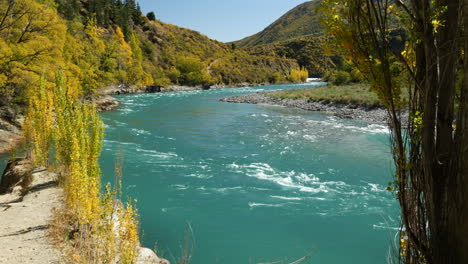 View-through-trees-of-famous-Kawarau-River,-Queenstown,-New-Zealand