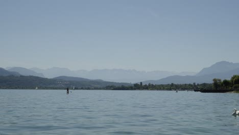 Cisne-Nada-Junto-A-Gente-Haciendo-Deportes-En-El-Agua,-Foto-Panorámica-Durante-El-Día