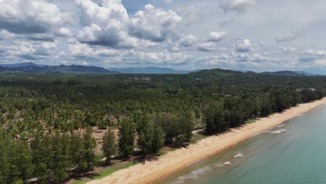 Luftbild-Zeigt-Einen-Strand-Mit-Ruhigem-Wasser-Und-Einer-Palmenplantage-Im-Hintergrund