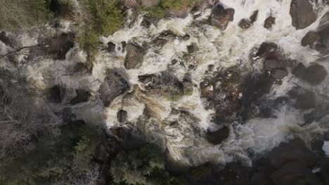 Rushing-water-over-rocks-in-owen-sound,-canada,-surrounded-by-trees,-aerial-view