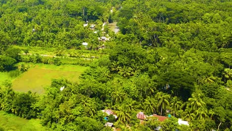 Abgelegenes-Indigenes-Dorf-Inmitten-Grüner-Wälder-In-Bangladesch---Luftaufnahme-Einer-Drohne