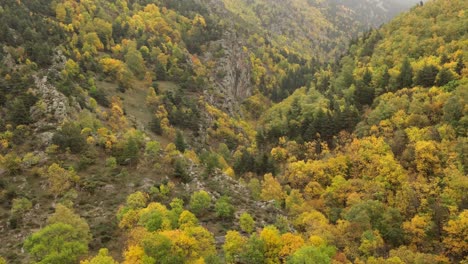 Herbstfärbung-Wald-Bäume-Berge,-Pyrenäen-Spanien