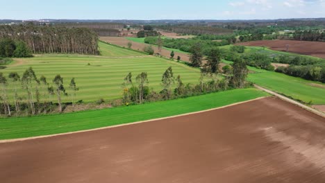 Panoramic-Aerial-View-Of-Agricultural-Fields-Near-Rural-Town