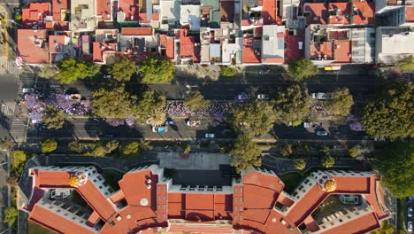 Top-view-drone-shot-in-front-of-the-Mier-y-Pesado-institute-in-Mexico-City,-small-group-of-pilgrims-in-a-wooded-area