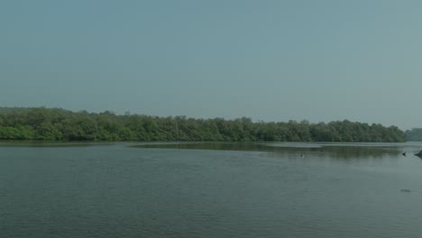 A-wide-view-of-a-calm-river-surrounded-by-lush-green-forest-under-a-clear-blue-sky