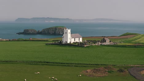 Panorámica-Aérea-De-La-Iglesia-Blanca-Costera-Con-Ovejas-En-Irlanda-Del-Norte