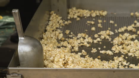 Freshly-popped-popcorn-on-a-metal-tray-with-a-scoop-at-50th-Anniversary-Dogwood-Fest,-Arkansas