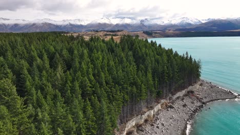 Drone-flyover-forest-on-lakeside-reveal-spectacular-mountain-scenery-of-New-Zealand