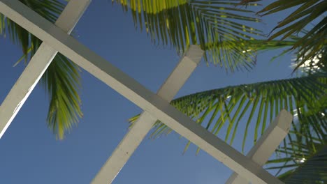 Langsame-Schwenkaufnahme-Von-Bogen-Und-Palmen-Und-Blauem-Himmel.-Wunderschöne-Aufnahme-Von-Dekoration-Und-Blumen-Am-Hochzeitsort.-Sitzgelegenheiten-Im-Freien,-Sandstrand,-Verlobungssitzplätze-Mit-Tischen