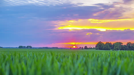 Colorful-sunset-to-twilight-time-lapse-over-farm-crops-in-the-countryside