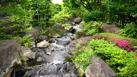 Flowing-water-and-lush-vegetation-in-a-Kyoto-Japanese-garden