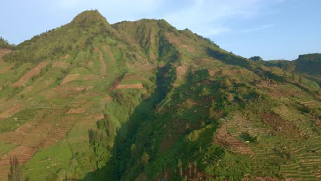 Aerial-view-of-potato-plantation-on-the-hill