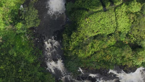 Top-down-aerial-along-water-stream-running-through-green-Hawaii-landscape