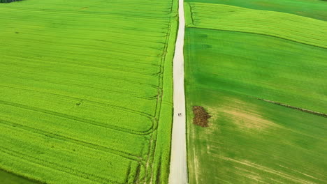 Aerial-footage-featuring-a-straight-dirt-road-flanked-by-vibrant-green-fields,-with-two-cyclists-riding-along-the-road