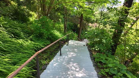 Ryontonji-Temple-in-Hamamatsu,-Japan,-featuring-serene-steps-descending-amidst-lush-vegetation,-vibrant-flowers,-and-diverse-trees