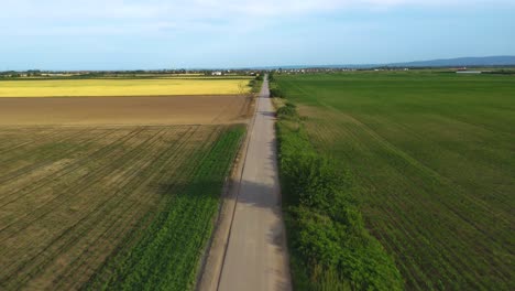 Camino-Rural-Recto-A-Través-De-Campos-Cultivados,-Vista-Aérea