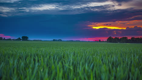 Sunset-time-lapse-big-clouds-moving,-tall-grass-open-field-rural-landscape